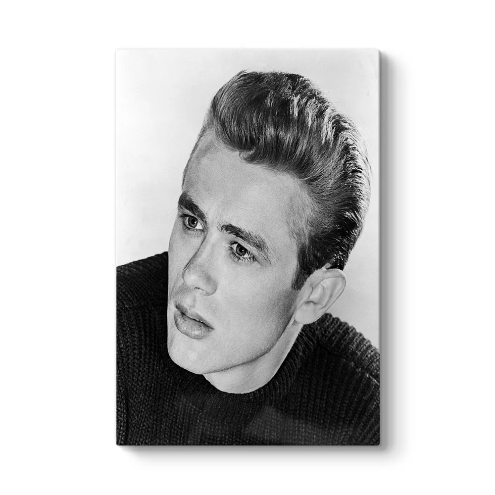 James Dean Tablosu - Model 2
